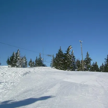 Apartamento Rozika *