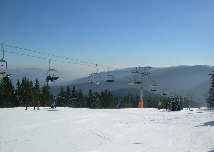 Rozika Slovenj Gradec